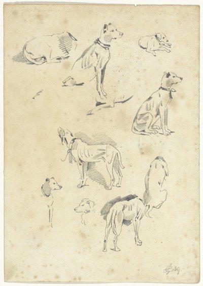köpek çalışmaları by Pieter van Loon