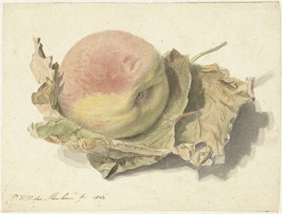 İki yaprak üzerinde şeftali by Pieter van der Meulen