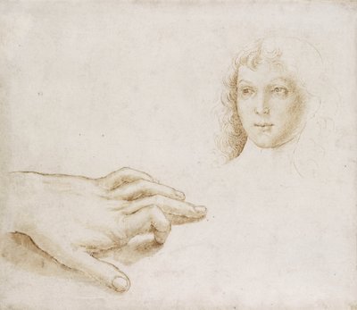 Baş ve El Çalışmaları (beyaz kağıt üzerine metal nokta üzerine açık kahverengi mürekkeple kalem ve fırça) by Pietro (circle of) Perugino