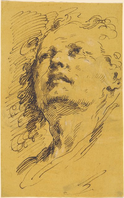 Yukarıya Bakan Bir Adamın Başı by Pietro Antonio Novelli