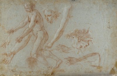 Çizim by Pietro Aquila