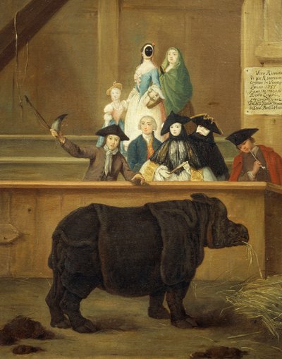 gergedan sergisi by Pietro Longhi