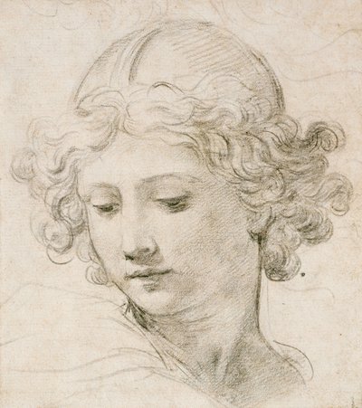 Bir meleğin başı, sola bakıyor by Pietro da Cortona
