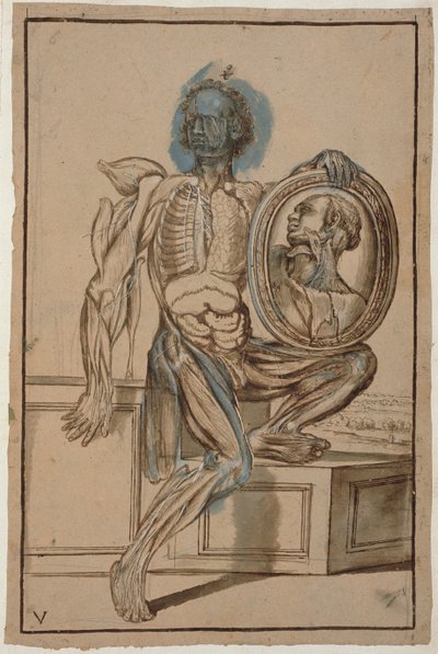 Ms Hunter 653 Plaka V Anatomik Çizim, c.1610 (kağıt üzerine kurşun kalem ve tebeşir) by Pietro da Cortona