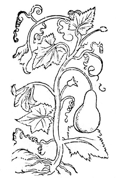  by Pietro de