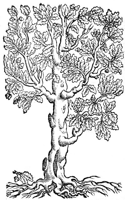  by Pietro de
