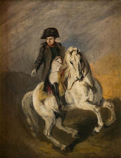 Gri At Üzerinde Napolyon (tuval üzerine yağlı boya) by Piotr Michalowski