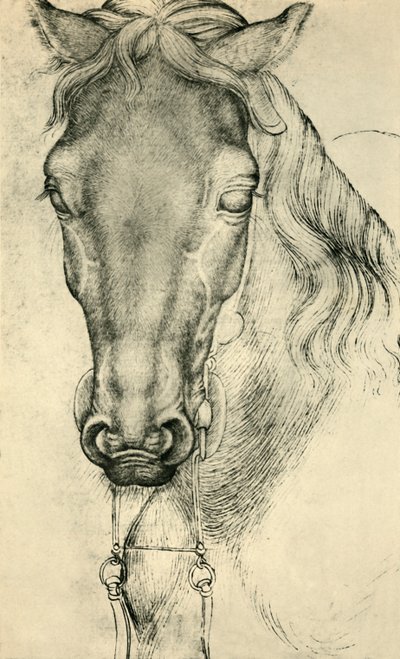 Bir atın başı, c1420-1455, 1943. by Antonio Pisanello