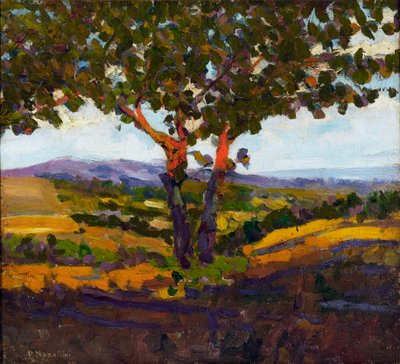 Güneşin selamı, 1902 by Plinio Nomellini