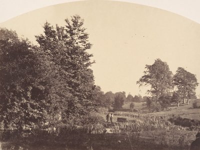 Woodland Çayı, 1856. by Plunket