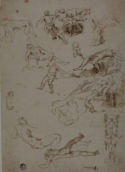 Çıplak Erkek, Hayvanlar ve Süs Detaylarının Eskizleri by Polidoro da Caravaggio