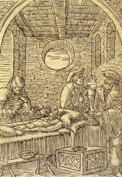 Şifalı Bitkilerin Uygulanması, 1534 by Polish School