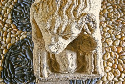 Bir adamı yiyen aslan, D. Afonso Pires