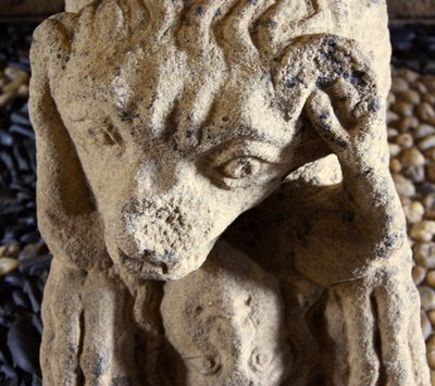 Bir adamı yiyen aslan, D. Afonso Pires