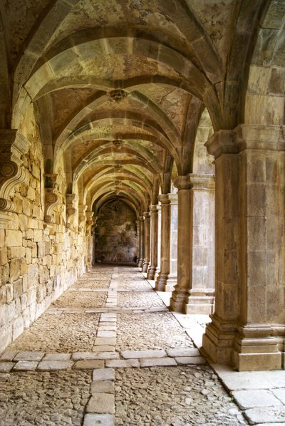 Manastırların görünümü, Santa Maria de Salzedas Manastırı, Tarouca, Portekiz (taş) by Portuguese School
