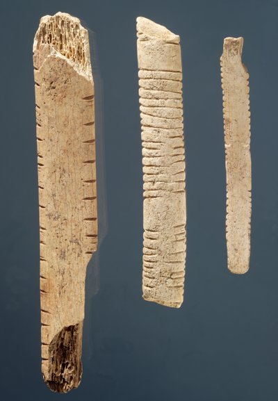 Üç süslü kemik (kemik) by Prehistoric
