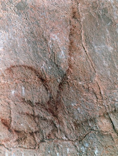  by Prehistoric Prehistoric