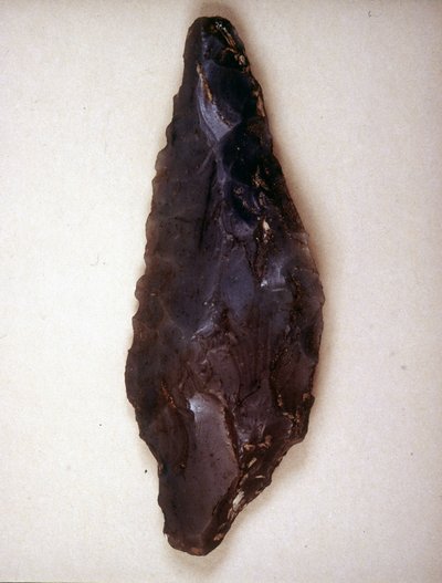 Oklar çakmaktaşı işaret ediyor. Varese. Milano Arkeoloji Müzesi by Prehistoric Prehistoric