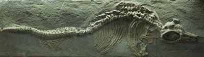  by Prehistoric Prehistoric