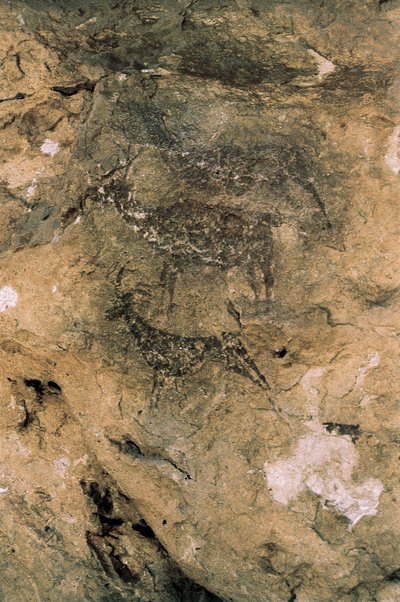 Mezolitik Kaya Sanatı: Geyik ve Keçi (MÖ 8000-7000), İspanya, Bicorp, La Arana Mağarası (resim) by Prehistoric Prehistoric