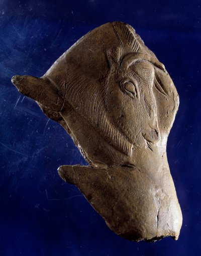 Tarih Öncesi Sanat (Yukarı Magdalenian): “” Bizon kalkıyor”” Dordogne