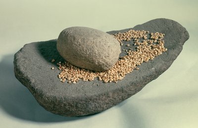 Tarih Öncesi: Tahıllı hareketsiz tekerlek (Neolitik dönem). Fransa. Saint Germain En Laye, Eski Eserler Müzesi. by Prehistoric Prehistoric