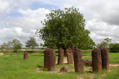 Tarih Öncesi: Wassu, Gambiya'dan megalitik taş çemberi (fotoğraf) by Prehistoric Prehistoric