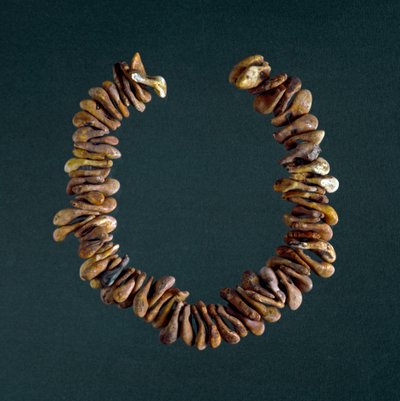 Prehistorya, Taş Devri: Polesine, Veneto mağarasından kemik kolye. Roma, Luigi Pigorini Ulusal Tarih Öncesi Etnografya Müzesi by Prehistoric Prehistoric