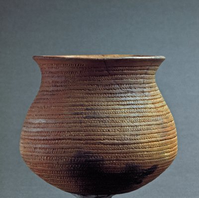 Prehistorya, Remedello kültürü: Brescia yakınlarındaki Fiesse, Santa Cristina mağarasından bir çan şeklinde vazo. Bakır çağı. Eneolitik. 2200 M.Ö. Roma, Luigi Pigorini Ulusal Tarih Öncesi Etnografya Müzesi by Prehistoric Prehistoric