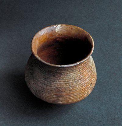 Prehistorya, Remedello kültürü: Brescia yakınlarındaki Fiesse, Santa Cristina mağarasından bir çan şeklinde vazo. Bakır çağı. Eneolitik. 2200 M.Ö. Roma, Luigi Pigorini Ulusal Tarih Öncesi Etnografya Müzesi by Prehistoric Prehistoric