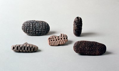 Tarih öncesi: Caverna Delle Arene