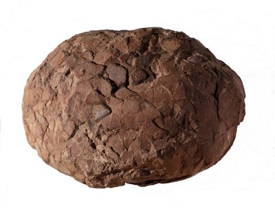 Prehistorya: Provence