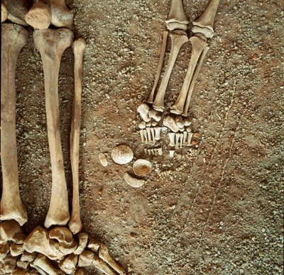 Prehistorya: yetişkinlerin ve çocukların çifte mezarlığı. Cenaze çeyizinin çocuğun ayaklarının dibinde, Ligurya