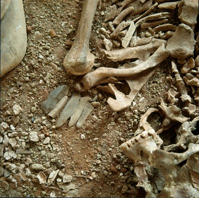 Prehistorya: yetişkinlerin ve çocukların çifte mezarlığı. Ligurya