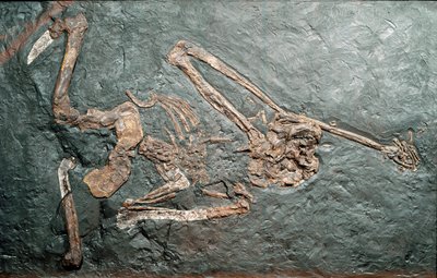 Prehistorya: Bamboli Dağı