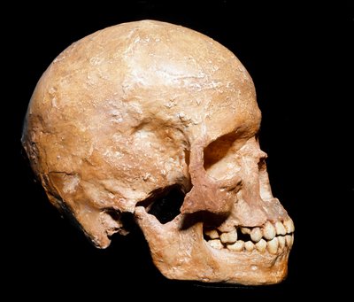 Prehistorya: Grimaldi