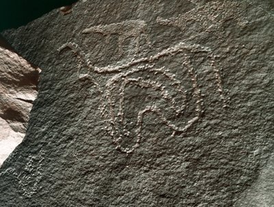 Tarih öncesi, kaya sanatı: Bir sığırın temsilinin ciddi bir kayası. Tazina tarzı. Taş Devri 5000-2000 M.Ö. Taghit, Haut plato du Hoggar (Ahaggar), Cezayir by Prehistoric Prehistoric