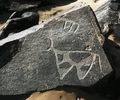 Tarih öncesi, kaya sanatı: Bir sığırın temsilinin ciddi bir kayası. Tazina tarzı. Taş Devri 5000-2000 M.Ö. Taghit, Haut plato du Hoggar (Ahaggar), Cezayir by Prehistoric Prehistoric