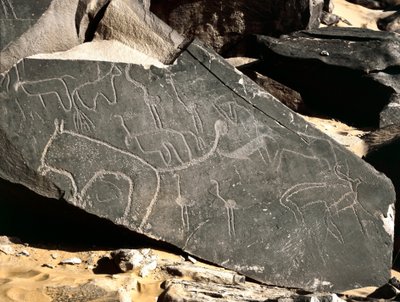Tarih öncesi, kaya sanatı: aslanları, antilopları, devekuşu ve sığırları betimleyen mezar kayası. Taş Devri 5000-2000 M.Ö. Taghit, Haut plato du Hoggar, Cezayir by Prehistoric Prehistoric