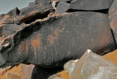 Tarih öncesi, kaya sanatı: sığır temsilinin mezar taşı. Tazina tarzı. Taş Devri 5000-2000 M.Ö. Taghit, Haut plato du Hoggar (Ahaggar), Cezayir by Prehistoric Prehistoric