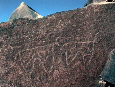 Tarih öncesi, kaya sanatı: sığır temsilinin mezar taşı. Tazina tarzı. Taş Devri 5000-2000 M.Ö. Taghit, Haut plato du Hoggar (Ahaggar), Cezayir by Prehistoric Prehistoric