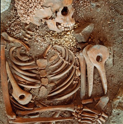 Tarih öncesi: Arene Candide (Finale Ligure) mağarasından genç prens hakkında söylenen gençlerin iskelet ve cenaze çeyizi: kabukları, geyik boynuzu ve çakmaktaşı kolyesi. Taş Devri, Üst Paleolitik. Genler, Museo di arkeologia Ligure by Prehistoric Prehistoric