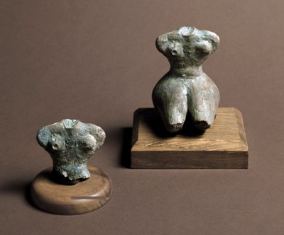 Prehistorya: Orta Neolitik