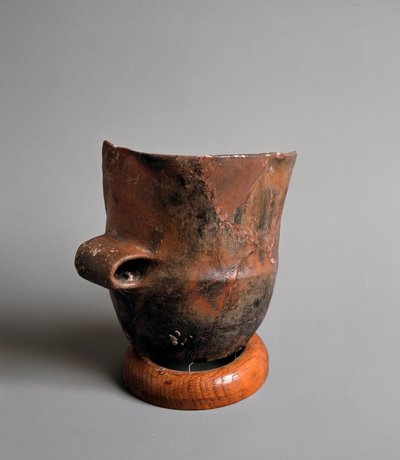 Prehistorya: Caverna Della Pollera