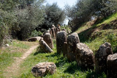 Sidi El Yamani