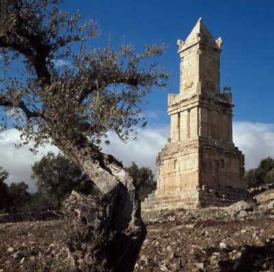 Libyco-Punic Mozolesi by Punic Punic