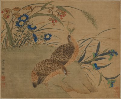 Çiçeklerin altında çekirge yiyen iki bıldırcın by Qing Dynasty Chinese School