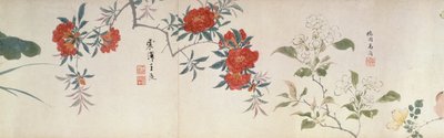 Çiçekler, Elle Kaydırma (kağıt üzerinde mürekkep ve renk) by Qing Dynasty Chinese School