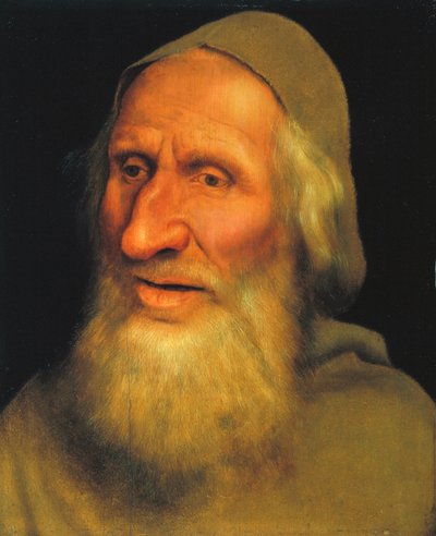 Yaşlı Bir Adamın Başı, c.1525 (panelde yağlı boya) by Quentin Massys or Metsys