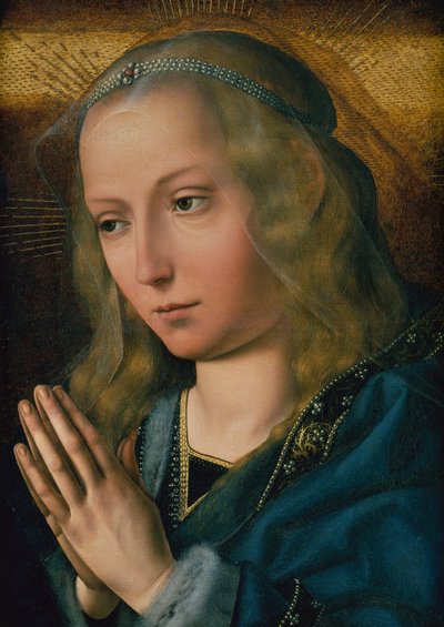 Tapınan Bakire, c.1491-1505 (panelde yağlı boya) by Quentin Massys or Metsys